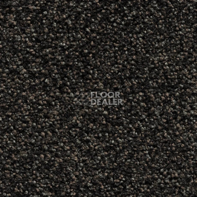 Ковровая плитка Bonkeel Pandora Black Accent фото 1 | FLOORDEALER